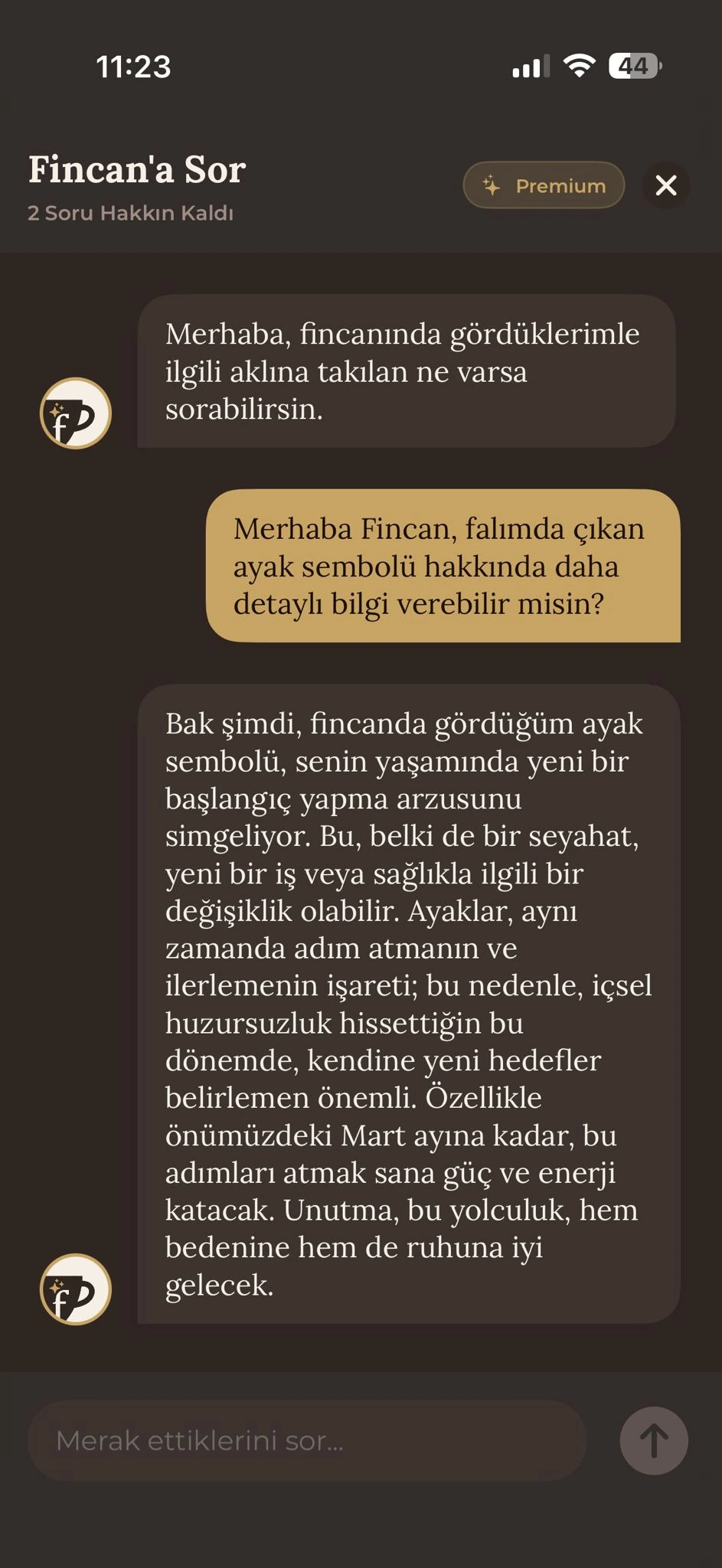 Fincan AI sohbet - kahve falı hakkında yapay zekaya soru sorma